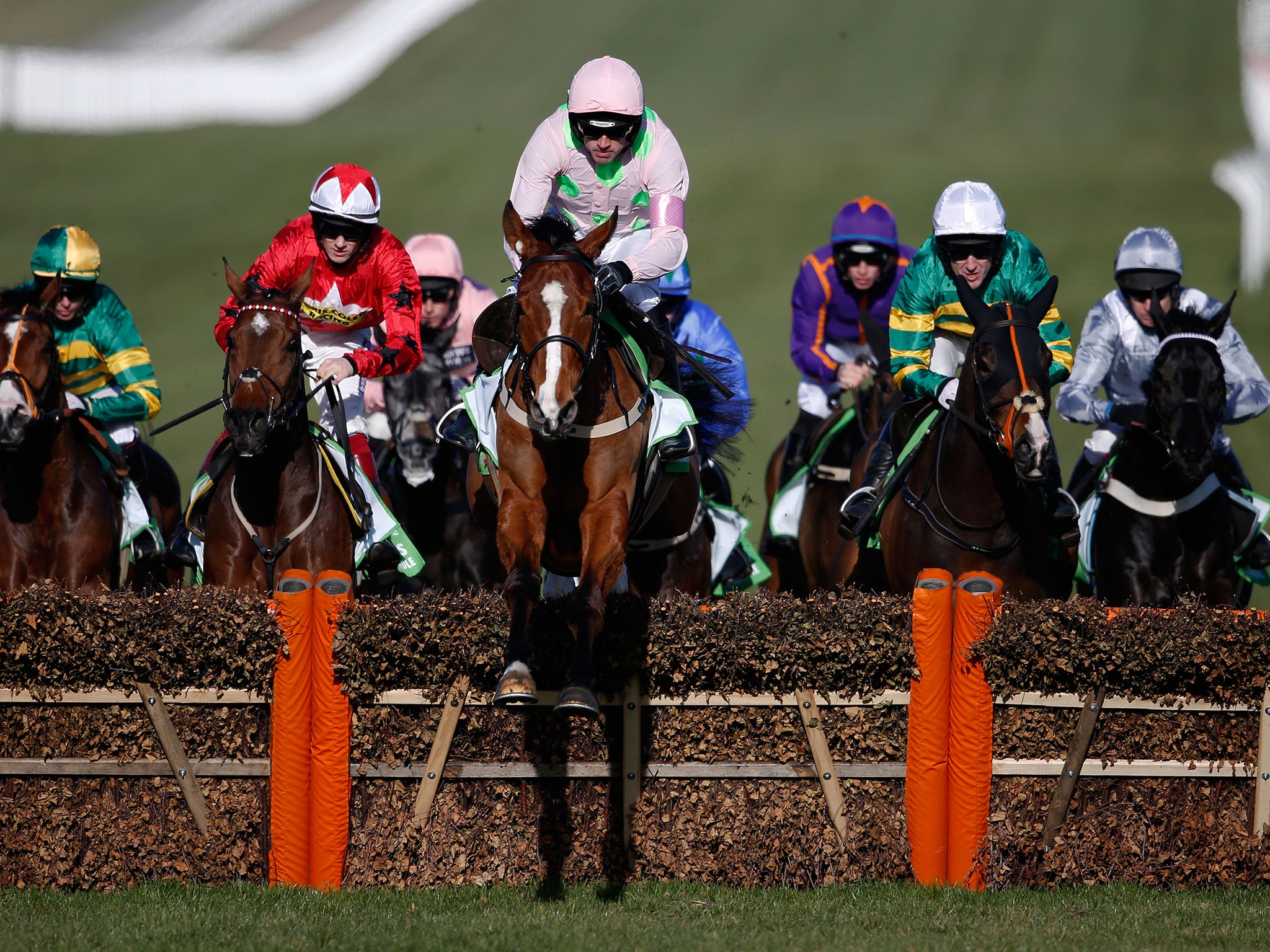 Faugheen leads the field during the early stages of the Champion Hurdle