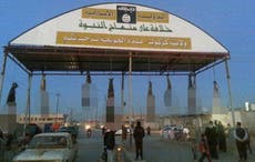 Isis fighters hang dead bodies at entrance to Hawija