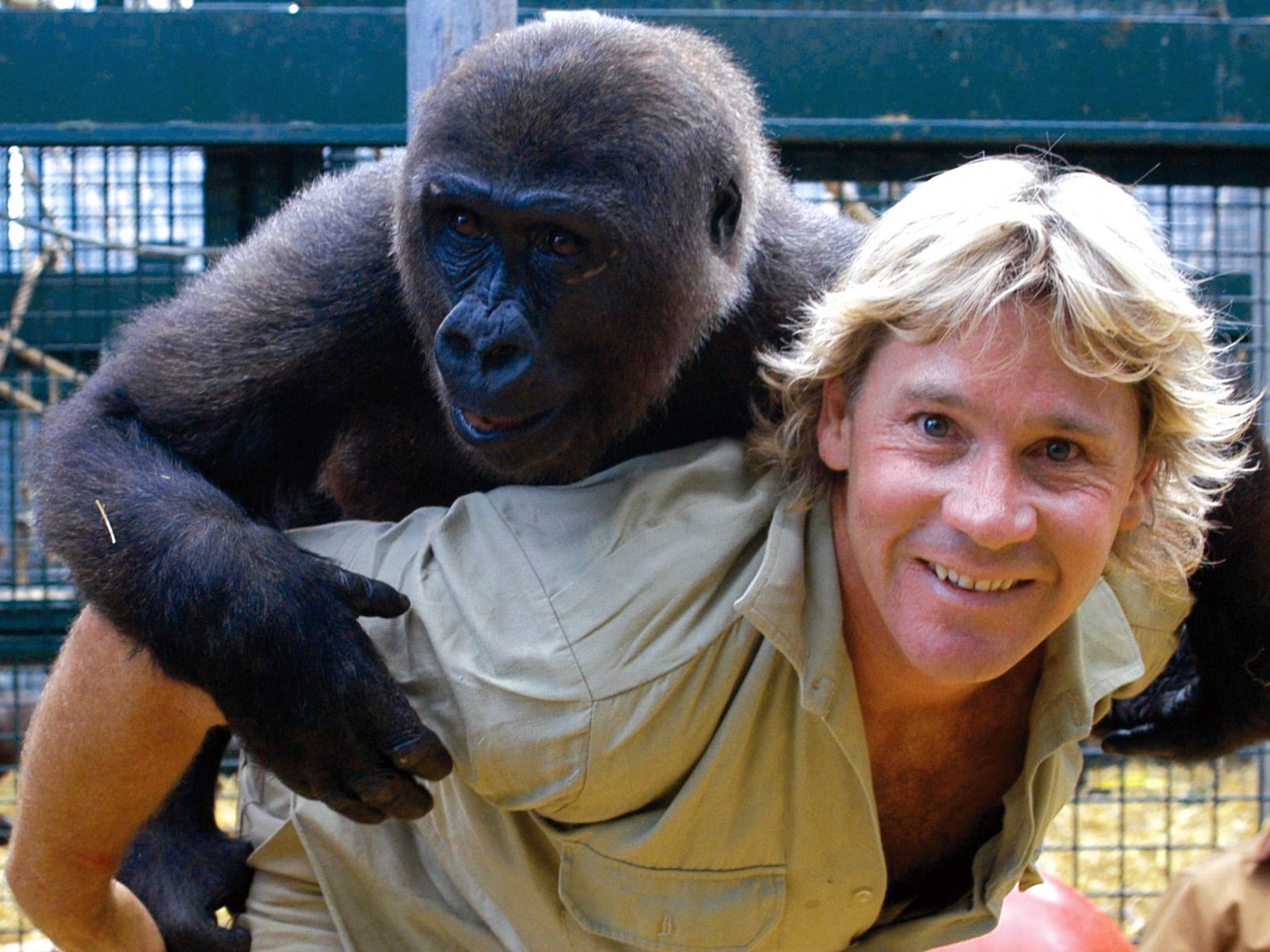 Steve Irwin died in 2006 while recording a show on the Great Barrier Reef