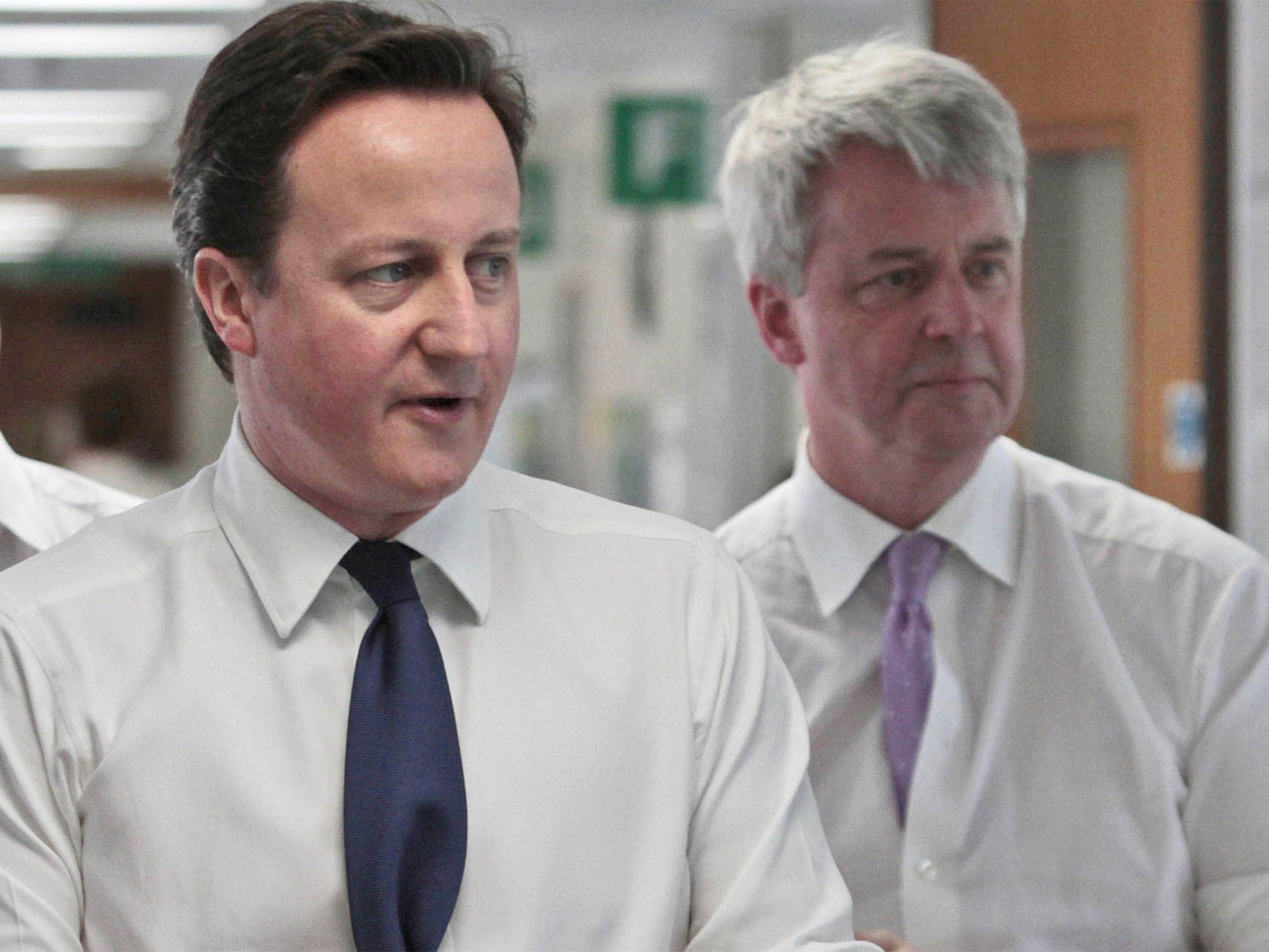 Ex-Health Secretary Andrew Lansley, right, with the Prime Minister in 2010 (Getty)