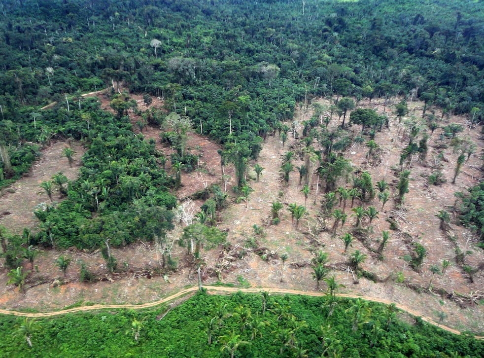 A deforested area in the Amazon, Brazil