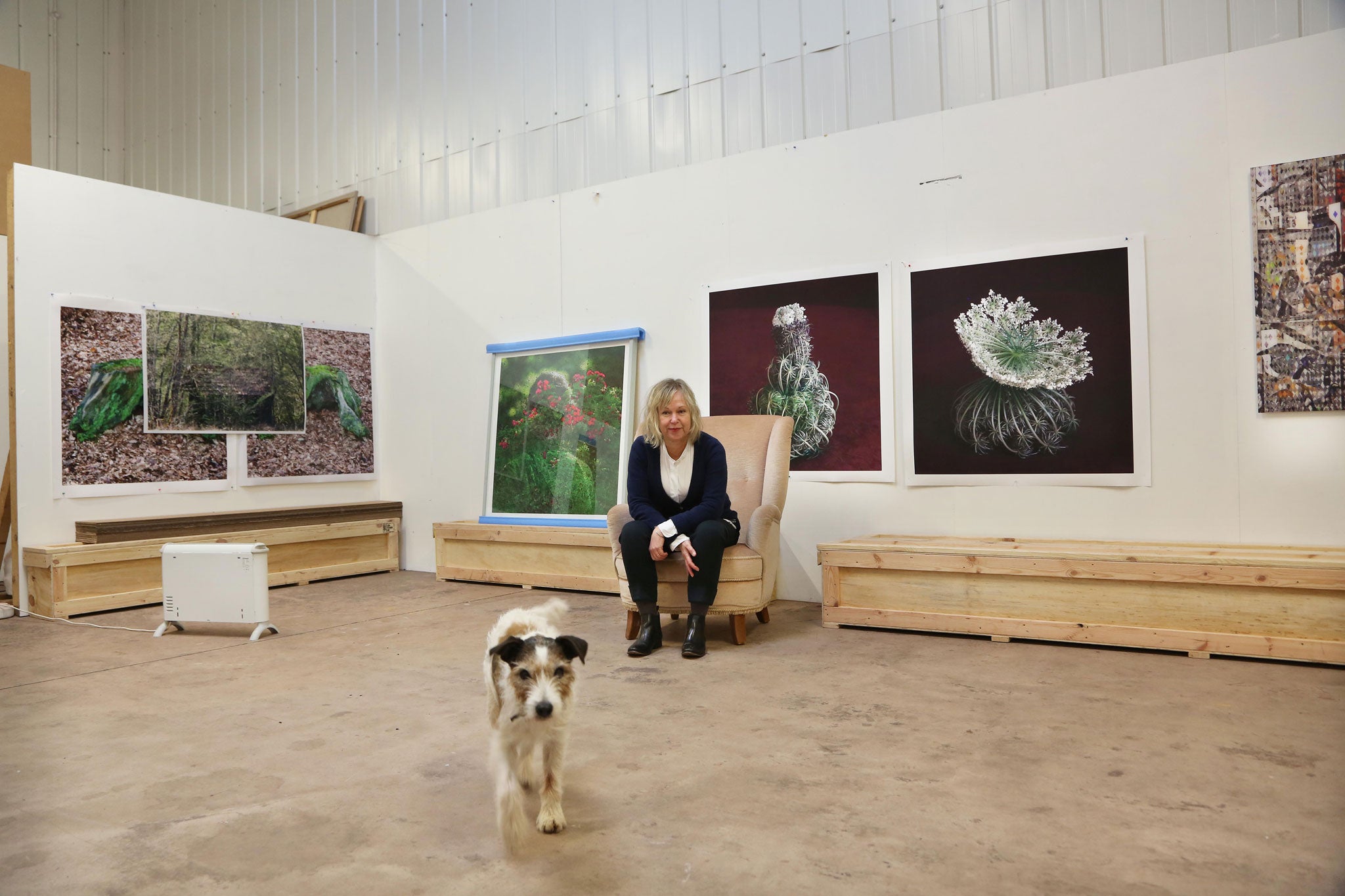 Walkies: Helen Sear in her studio, with her dog Marshall