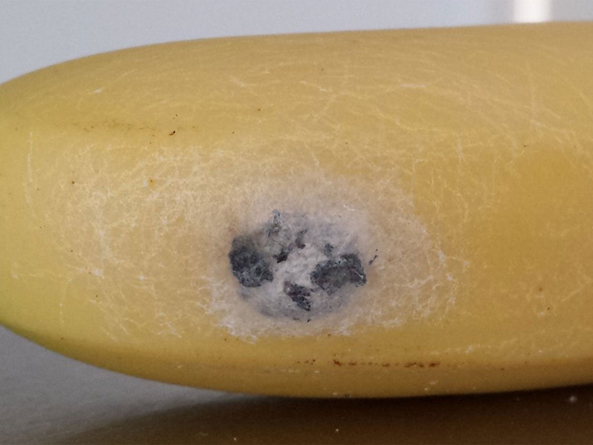 Maria Layton said Tesco were 'useless' when she called to say she found a 'massive spider cocoon' on a banana she was about to give to her six-year-old daughter