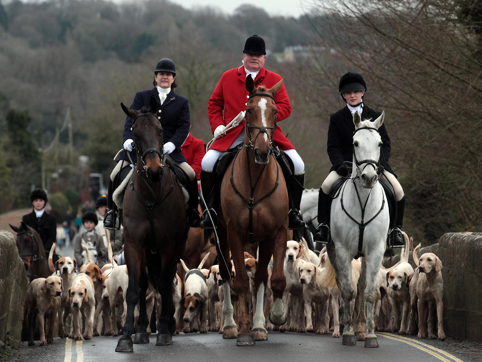 Fox hunting has been banned in the UK since 2004