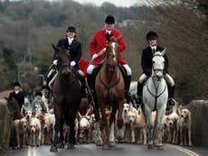 Ferry-supported Tory hunting ban campaign angers Labour
