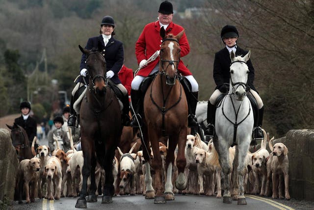 Fox hunting has been banned in the UK since 2004