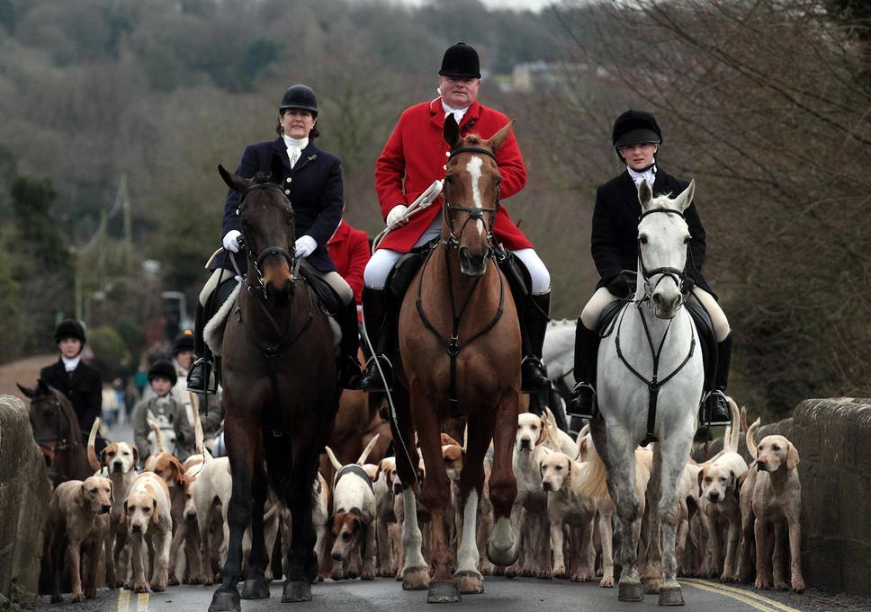 Prominent fox hunting supporters step up Tory support – and expect repeal  of ban in return | The Independent