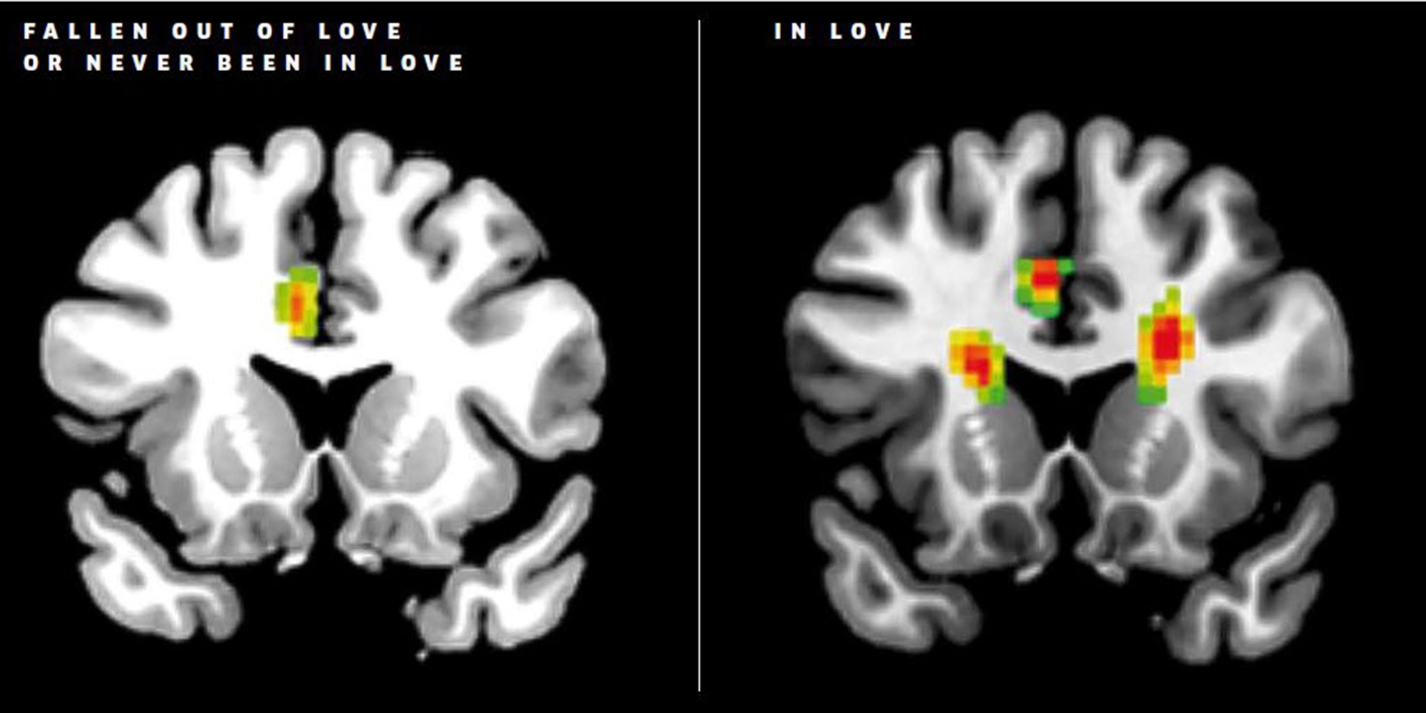 What is love – and is it all in the mind?, Relationships