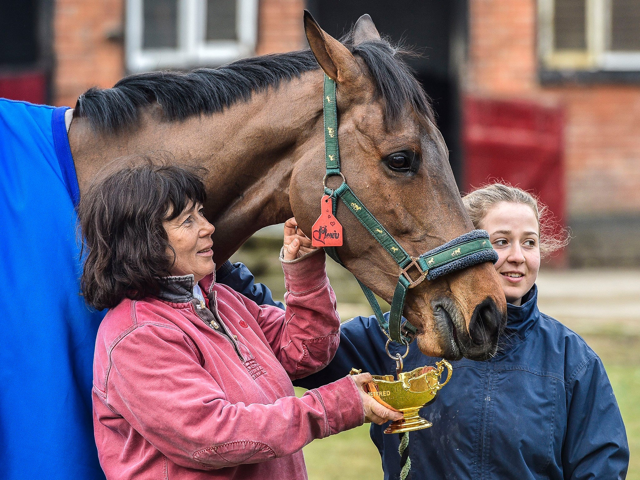 Rich pickings: Cheltenham Gold Cup winner Coneygree eats from the trophy, accompanied by owner Sara Bradstock (left) and her daughter Lily