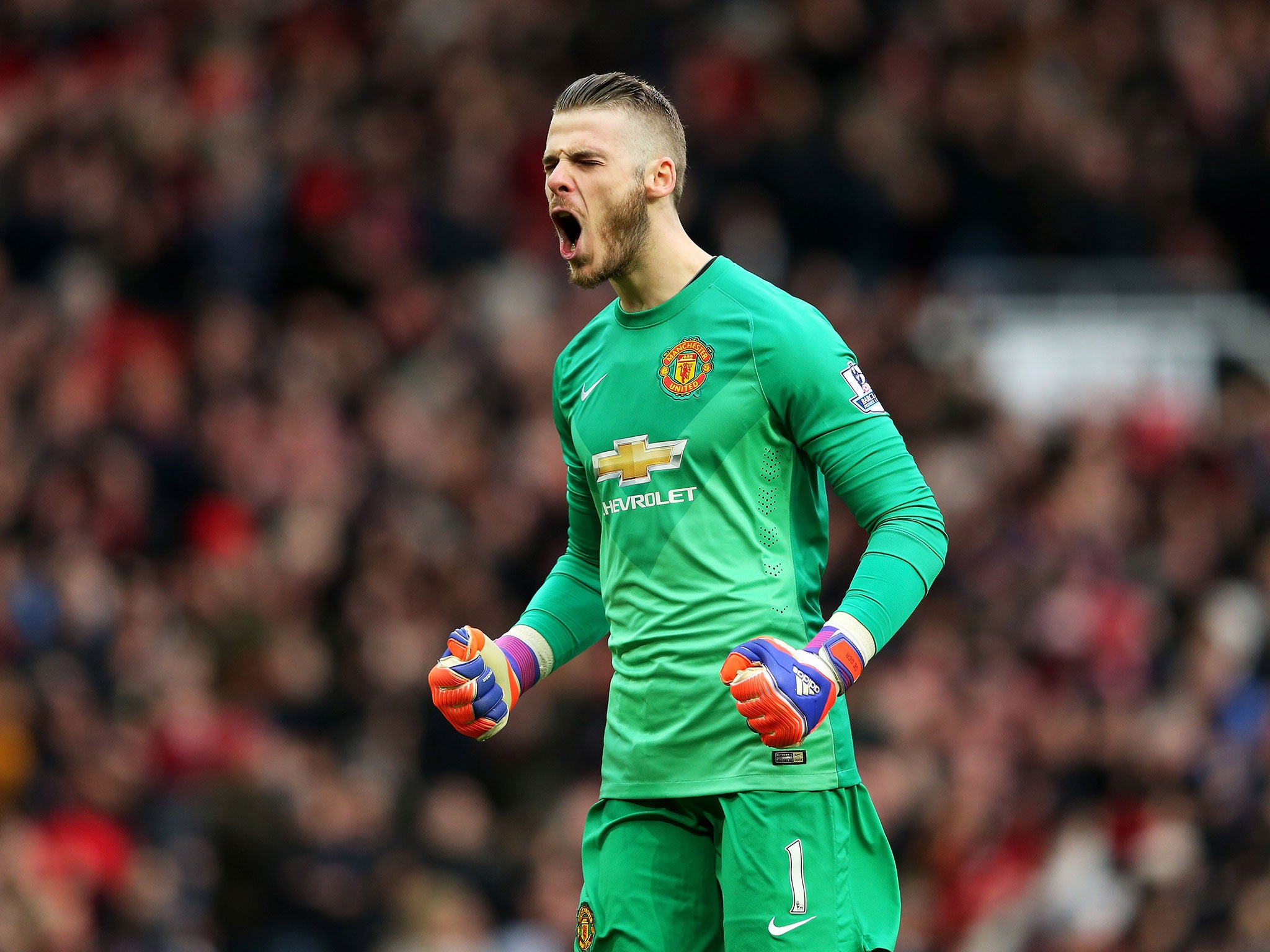 David De Gea has been one of United's standout performers this season