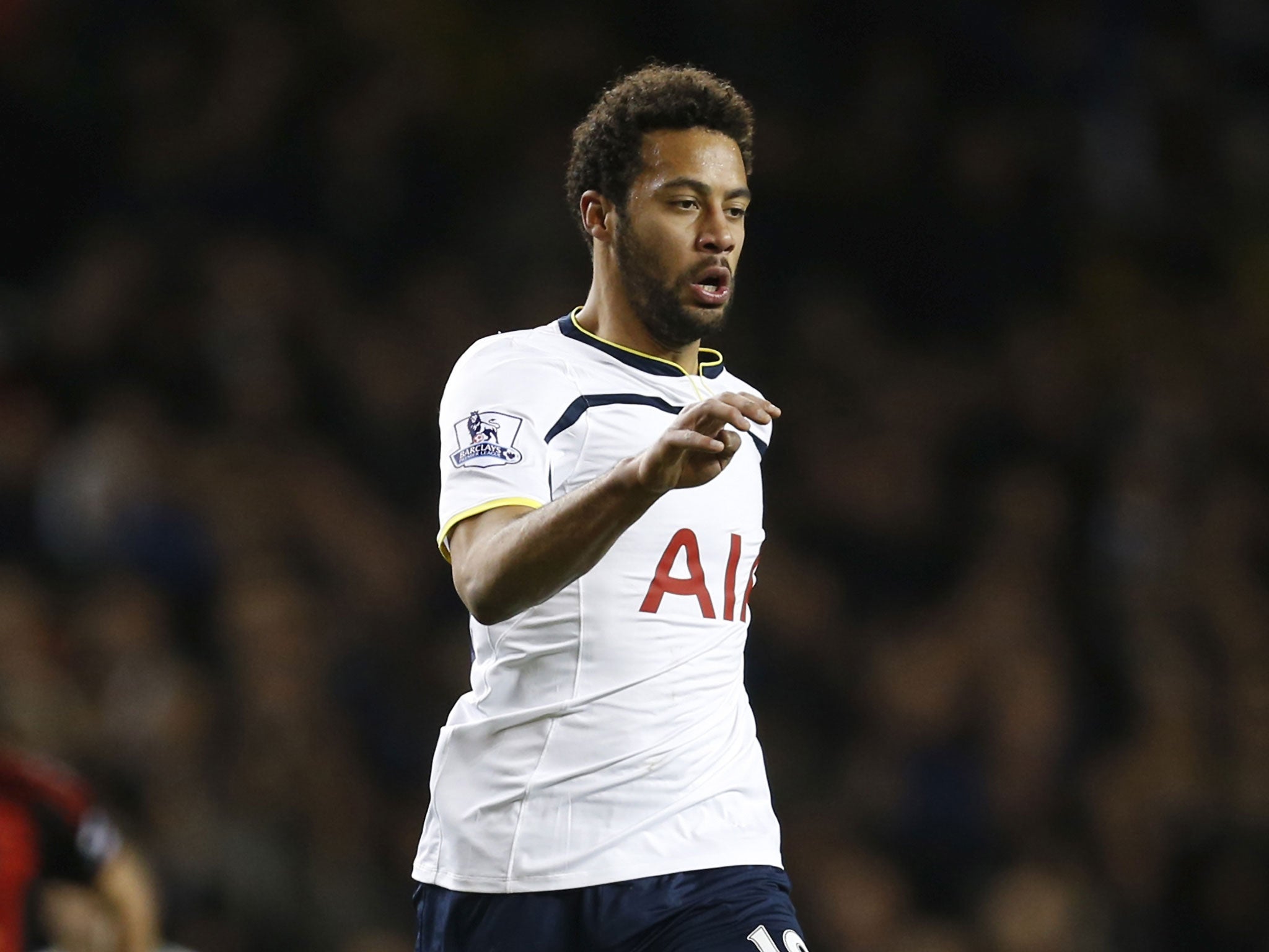 Mousa Dembele in action for Tottenham