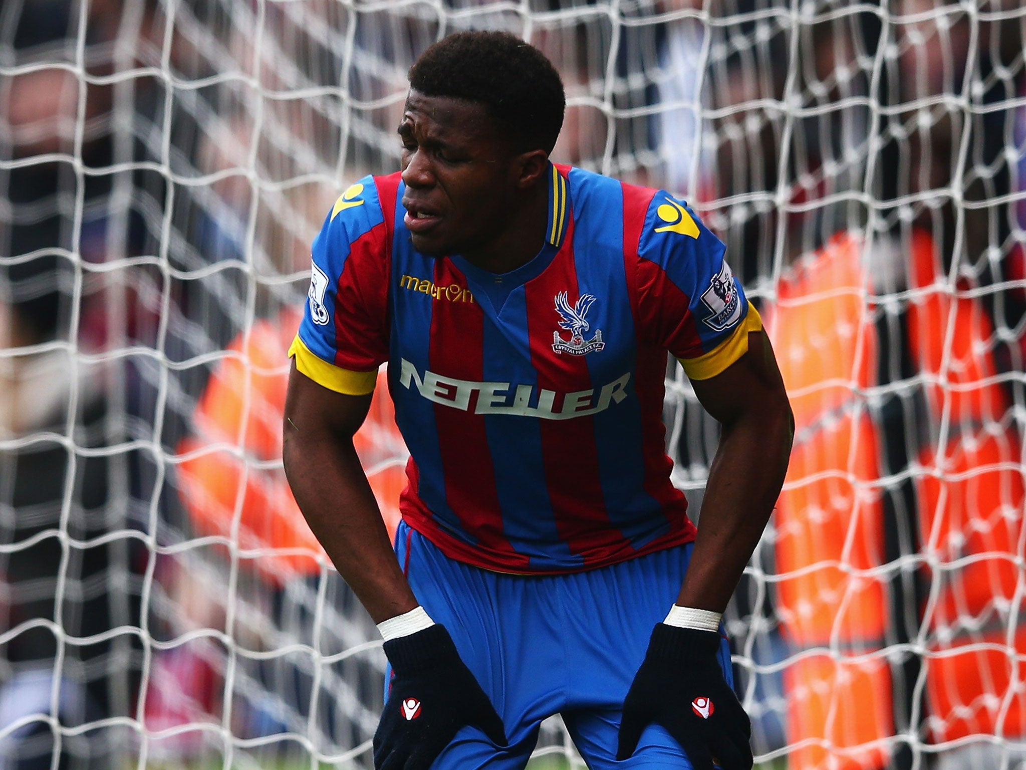 Wilfried Zaha was in fine form