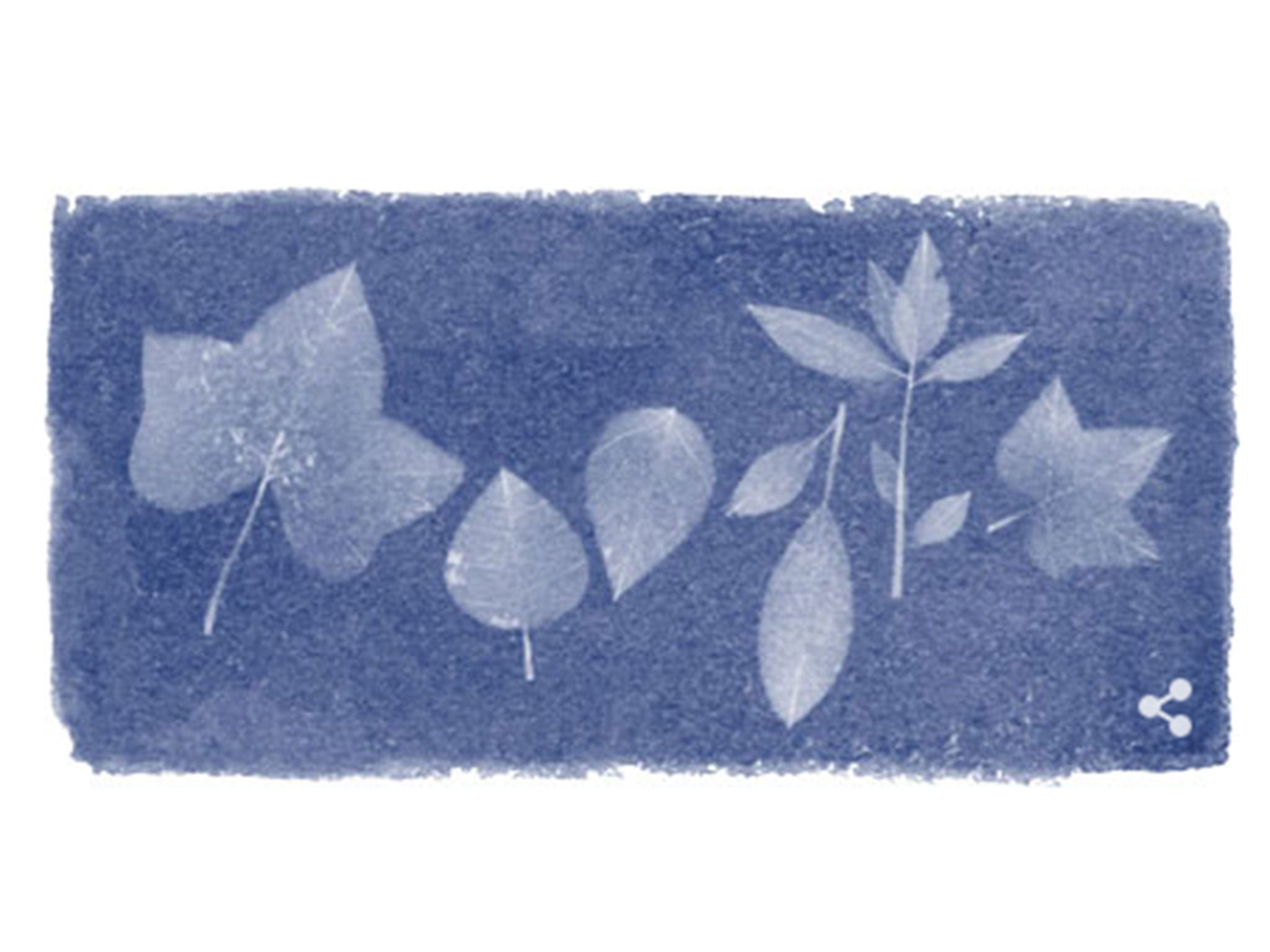 Google celebrates the 216th birthday of Anna Atkins, botanist and photographic pioneer