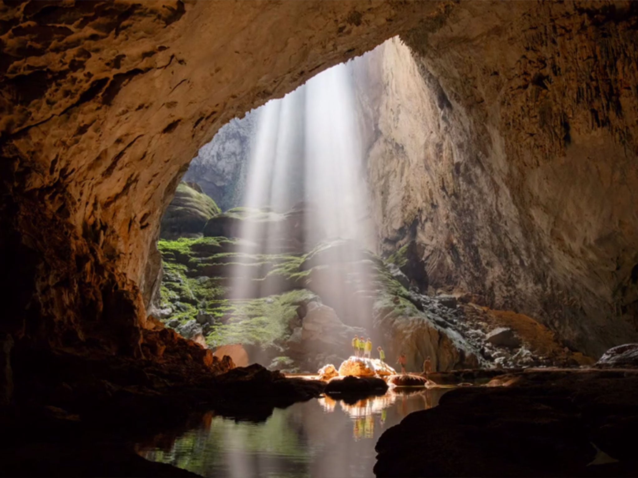 hang son cave has a forest inside