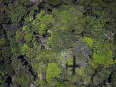 Amazon rainforest losing capacity to fight climate change