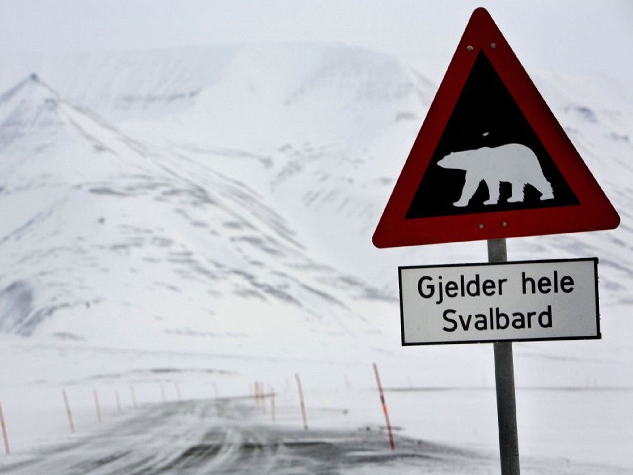 A sign warning of polar bears near Longyearbyen in Svalbard.
