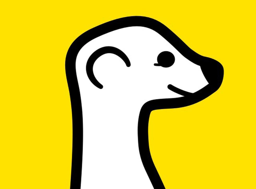 Simples: new app Meerkat allows anyone's experiences to be live-streamed