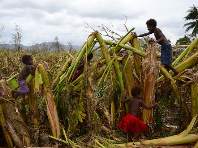 Children play in a destroyed banana plantation in Mele, outside the Vanuatu capital, Port Vila