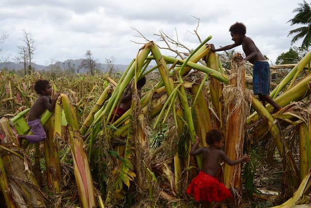 Children play in a destroyed banana plantation in Mele, outside the Vanuatu capital, Port Vila