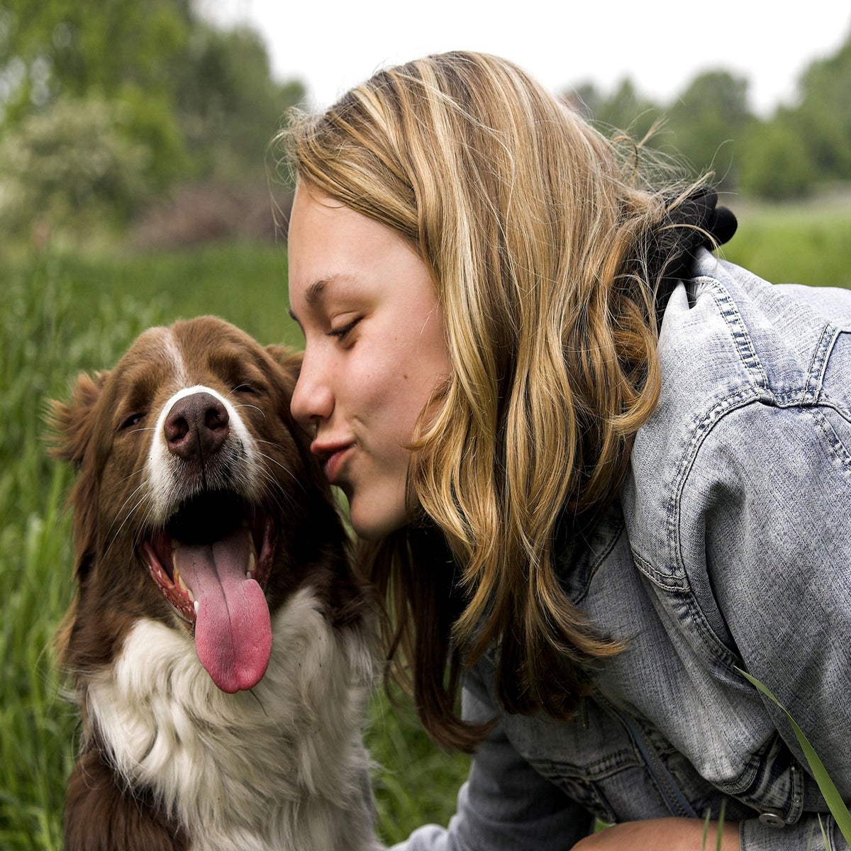 is it bad to kiss a dogs nose