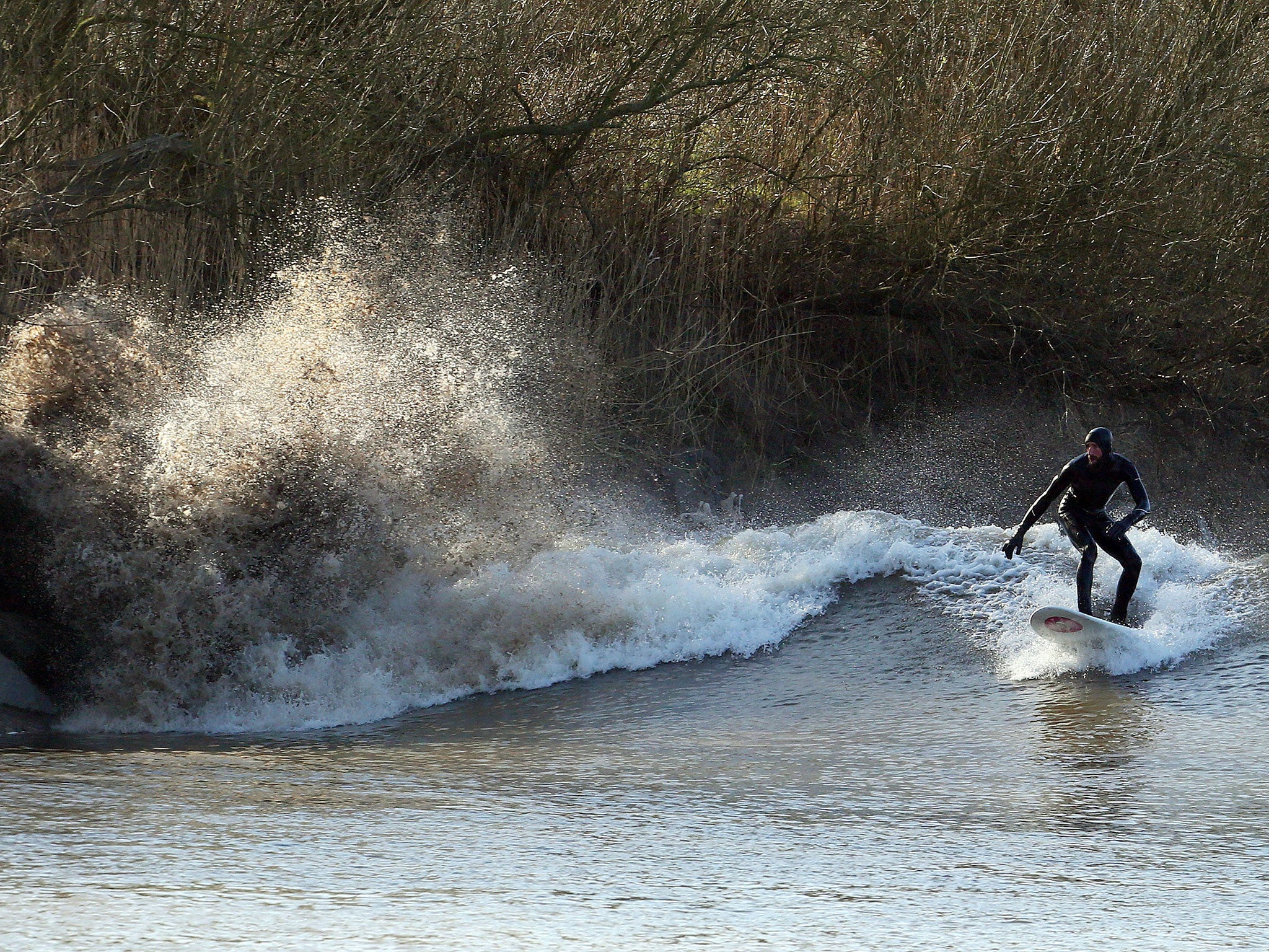 Another surfer takes on the tidal bore (AFP/Getty/Geoff Caddick)