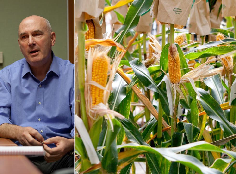 Hugh Grant, CEO of Monsanto, is optimistic GM will be seen as the way to feed the world