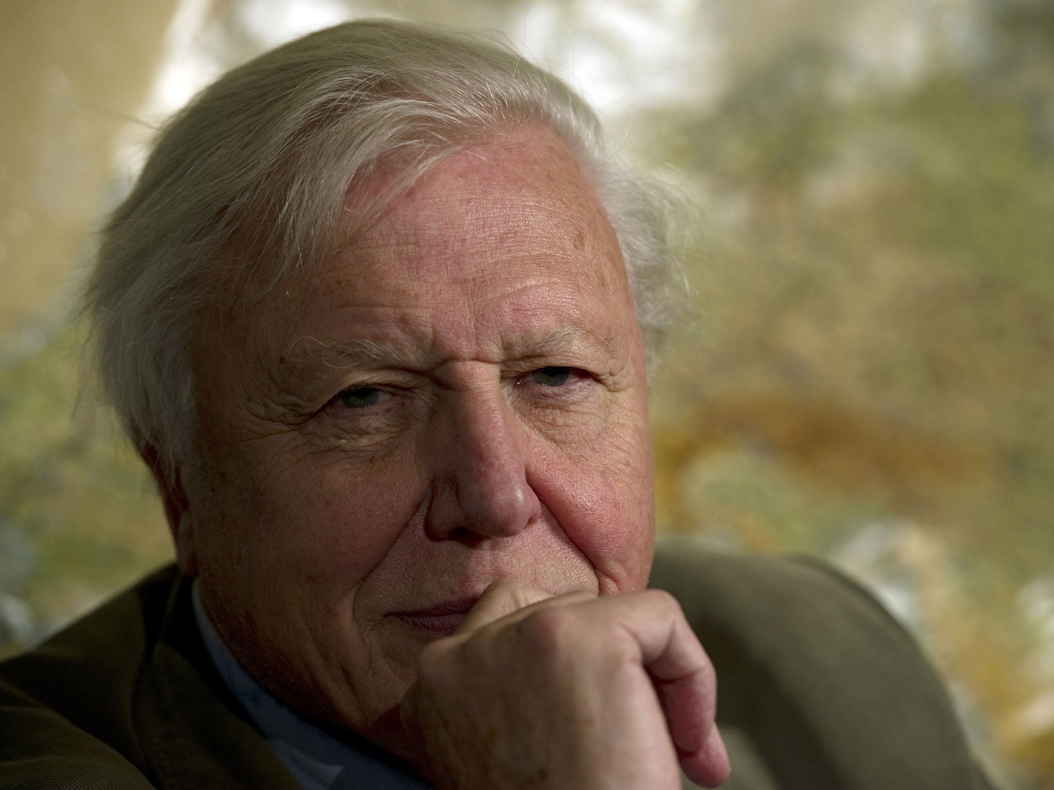 Sir David Attenborough: Believes wolves have been unfairly demonised