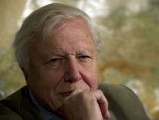 Sir David Attenborough says Cecil the lion death is sign of 'terrible