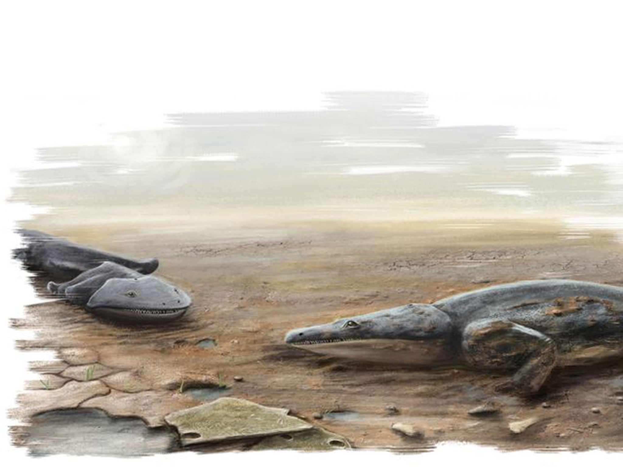 Artist's impression of the salamander (PA)