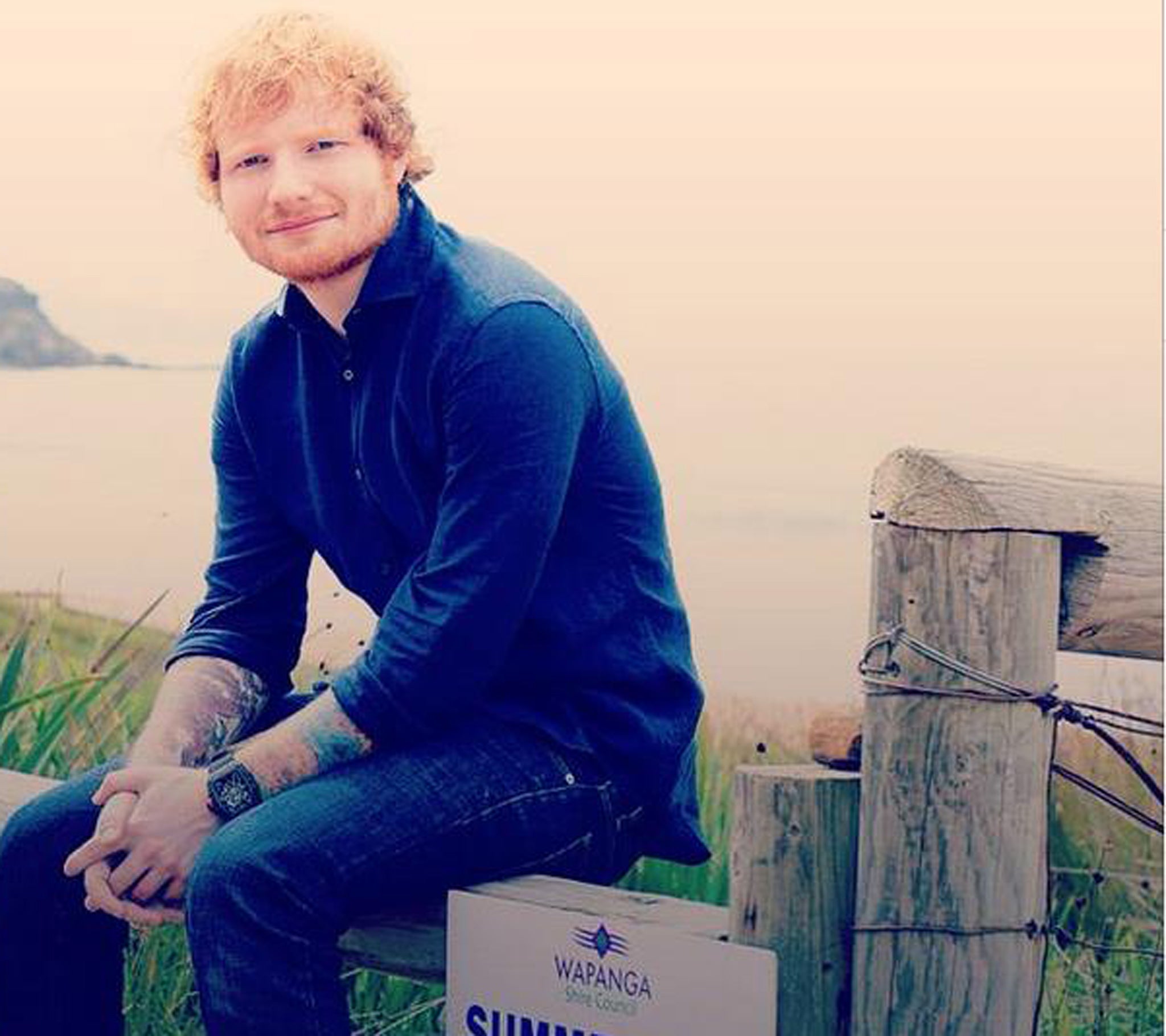 Ed Sheeran is to appear in an episode of Home and Away, the soap has confirmed