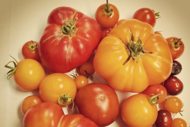 Colourful: A selection of heirloom tomatoes