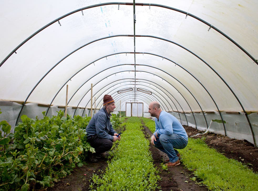 The 'Modern Salad Grower' Sean O’Neil (left) with Cornwall Project founder Matt Chatfield at Keveral Farm