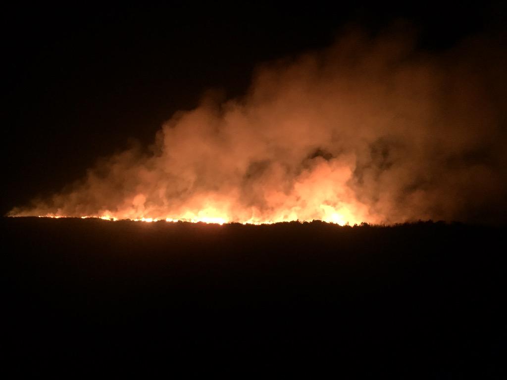 A similar gorsefire burns on Laneast Downs, attended by crews from Launceston Community Fire Station