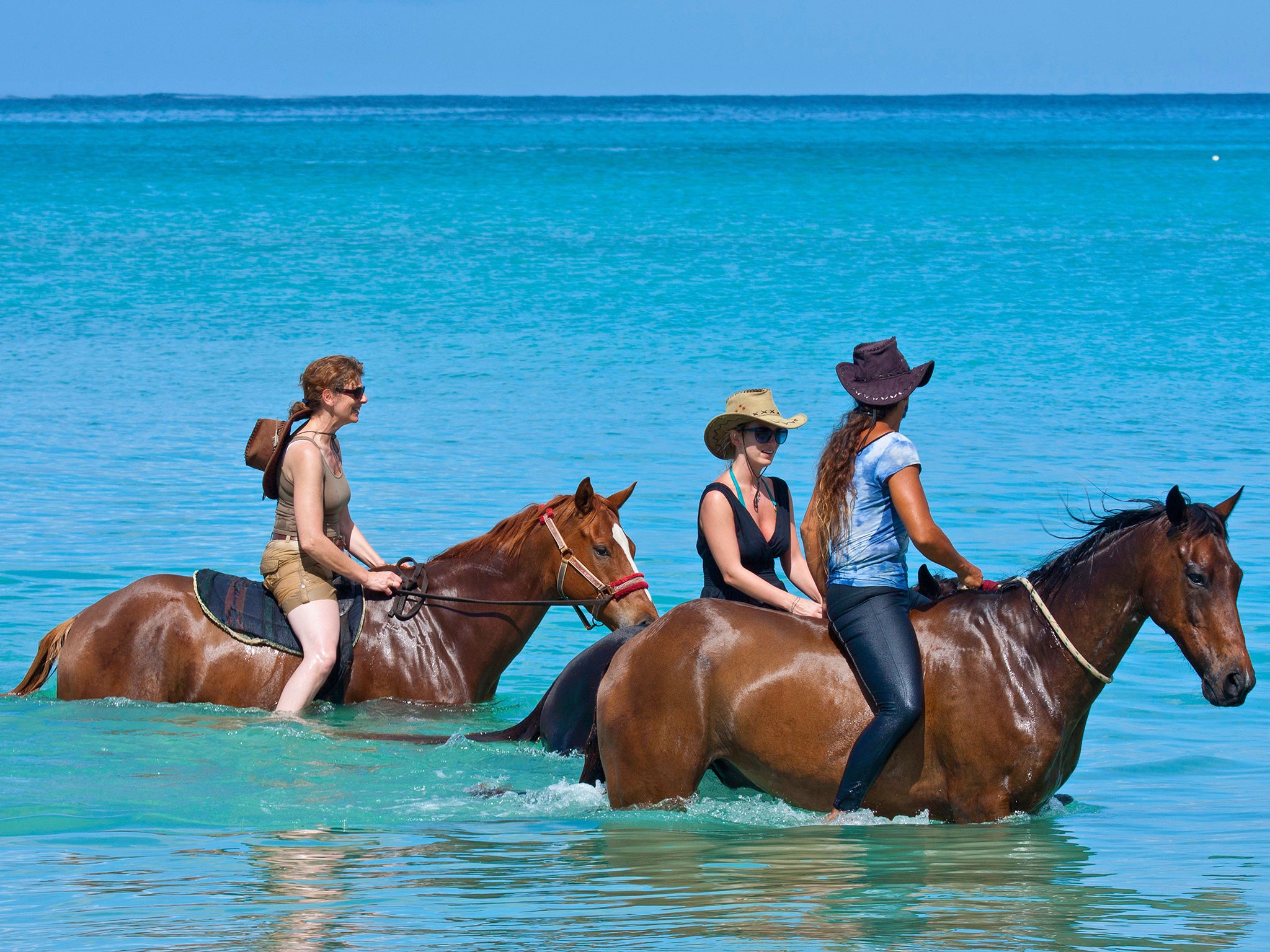 Seahorses: whether you call it swimming or riding, it’s fun