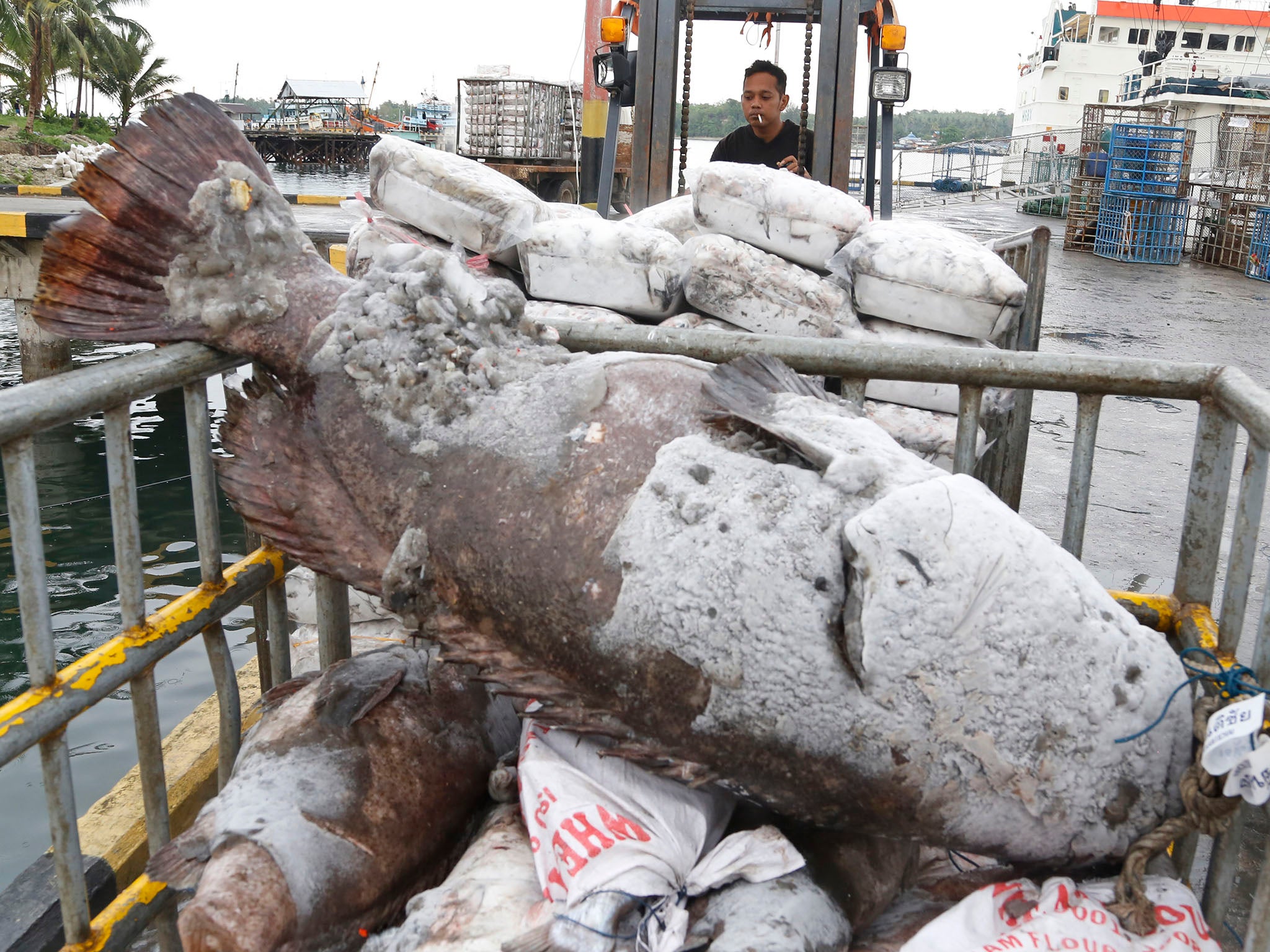 The more than 40 men the AP interviewed on Benjina said they were brought to Indonesia from Thailand and put on trawlers with Thai captains who forced them to drink unclean water and work 20- to 22-hour shifts with no days off