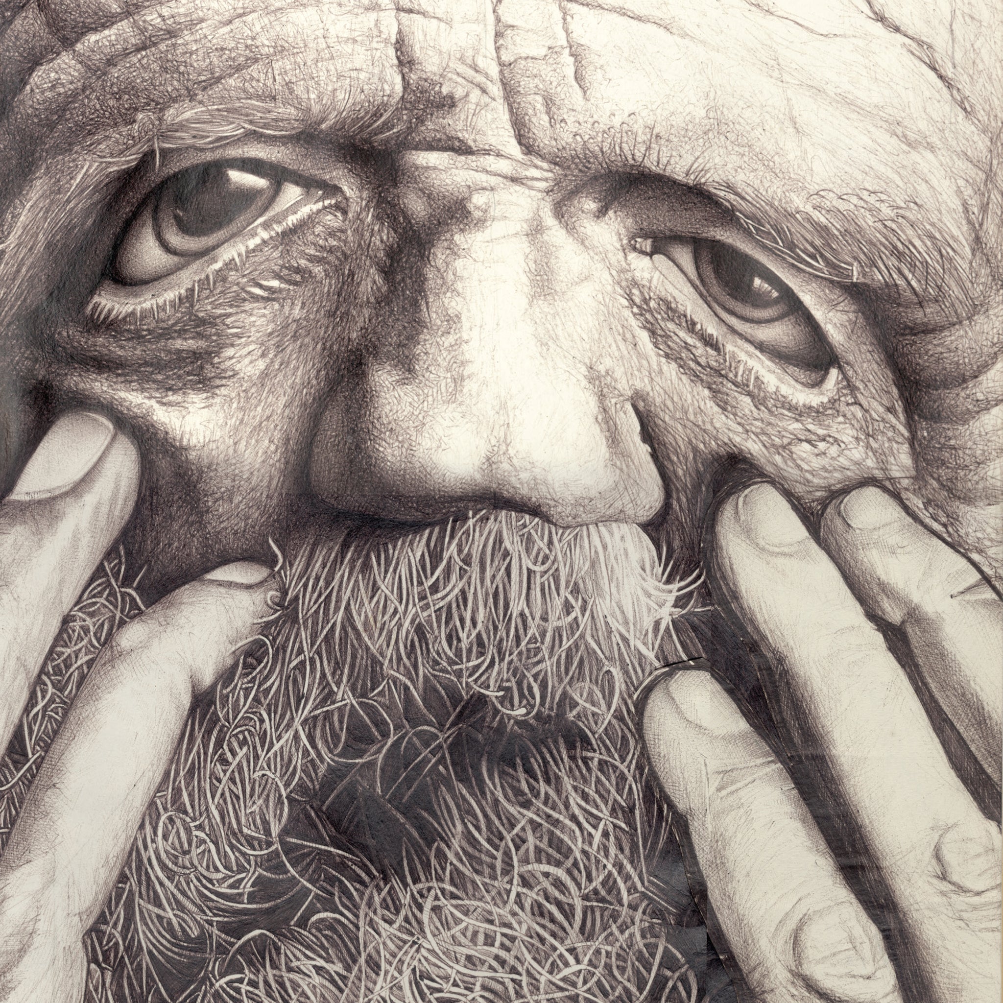 Biro - Beard
Art created by Debra Yates a graphic designer