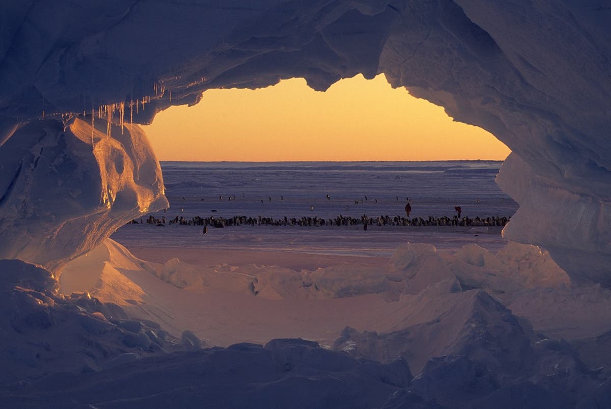 Antarctica just experienced its warmest day ever | The Independent ...