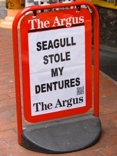 Illustrating The Argus: Brighton newspaper's billboards have inspired