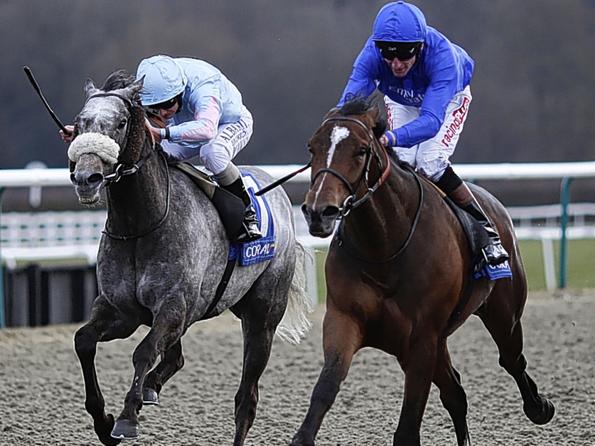 Tryster (right) carries Godolphin’s royal blue to victory in the Winter Derby at Lingfield last month