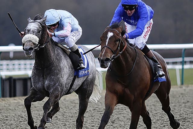 Tryster (right) carries Godolphin’s royal blue to victory in the Winter Derby at Lingfield last month