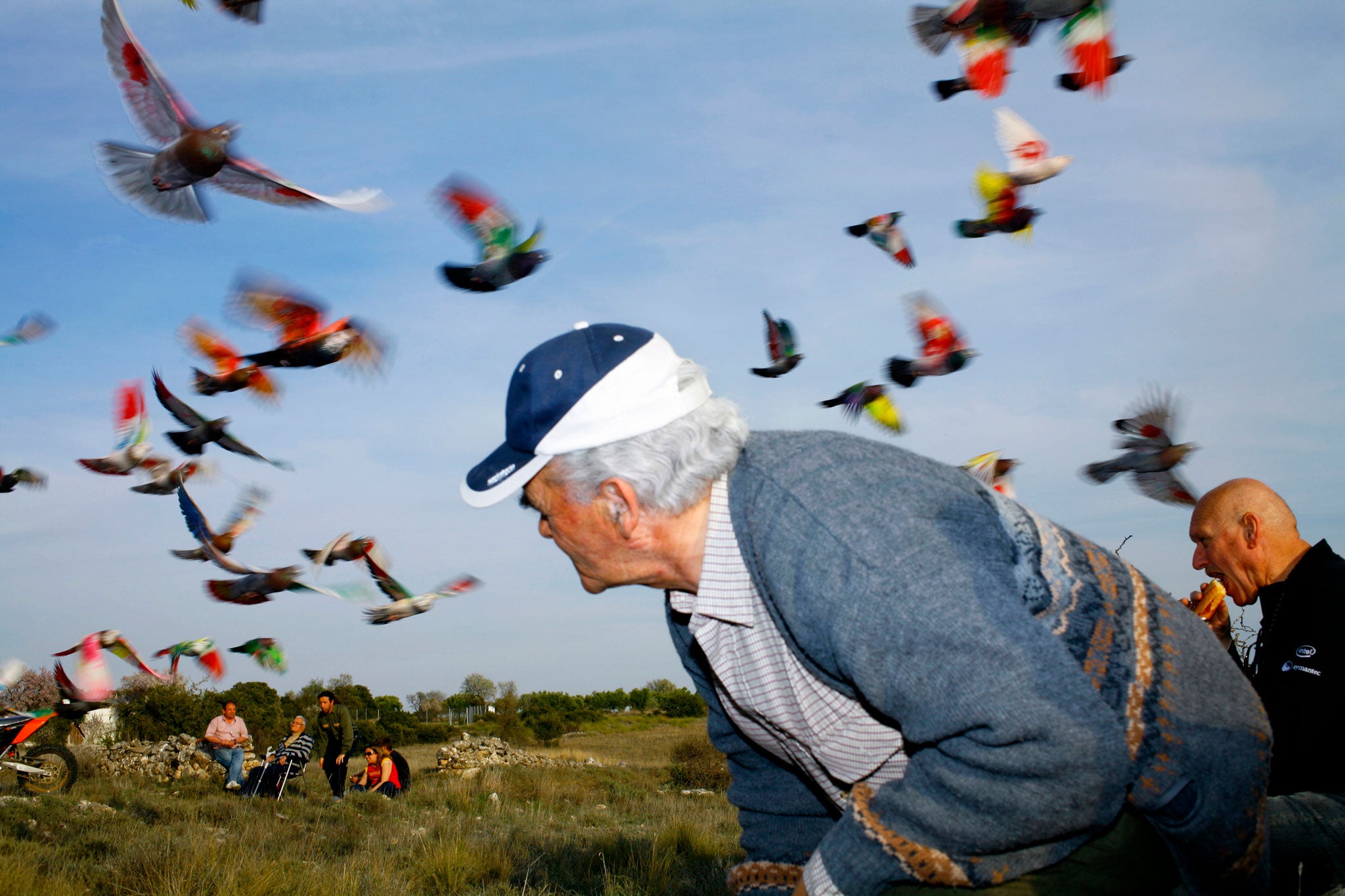 Photographer Ricardo Cases captures Spains pigeon breeders and their feathered friends The Independent The Independent