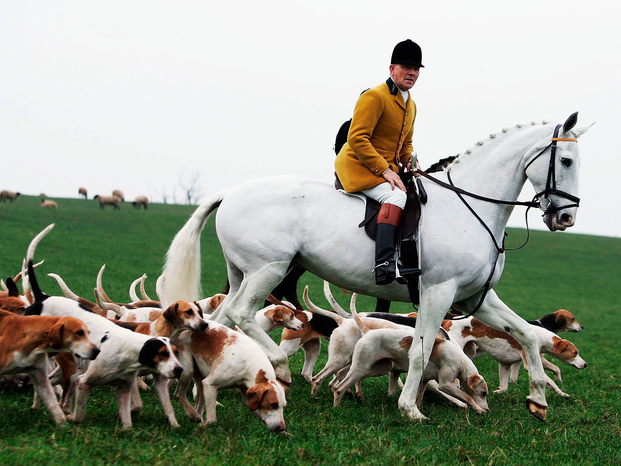 There are an estimated 45,000 hunt members