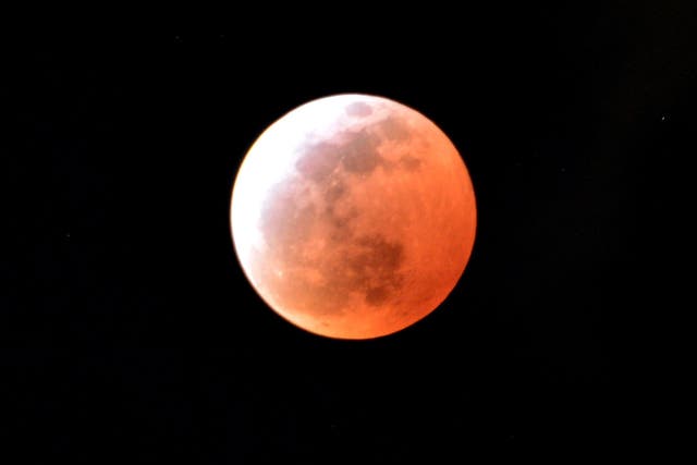 A total lunar eclipse is seen in Utsunomiya in Tochigi prefecture, 100km north of Tokyo on April 4, 2015. Sky-gazers in part of the Pacific Rim enjoyed an "unusually brief" total eclipse of the Moon. Getty Images.