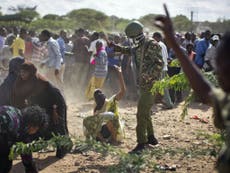 Kenyan air force bombs two al-Shabaab bases in response to massacre
