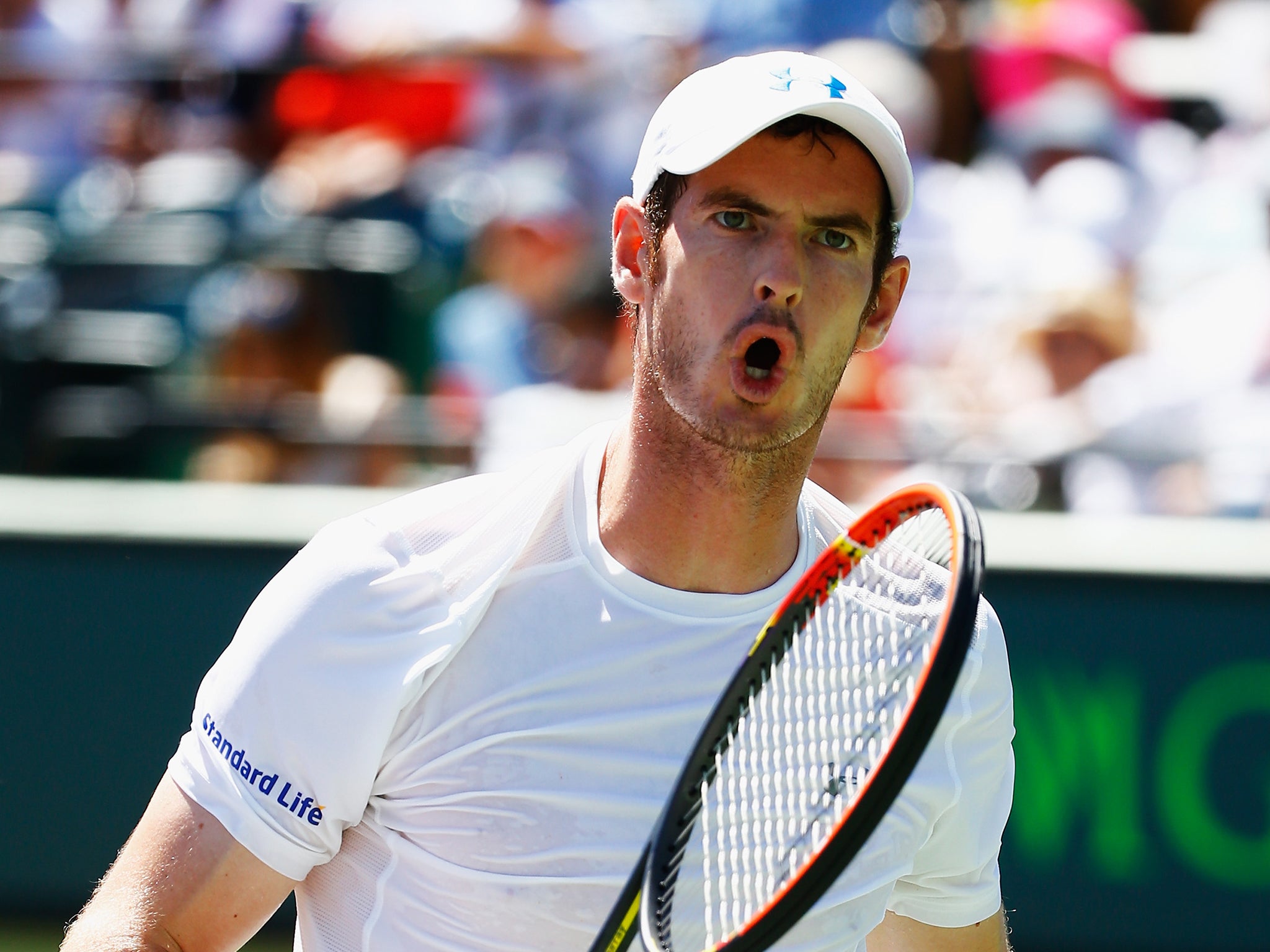 Andy Murray at the Miami Open