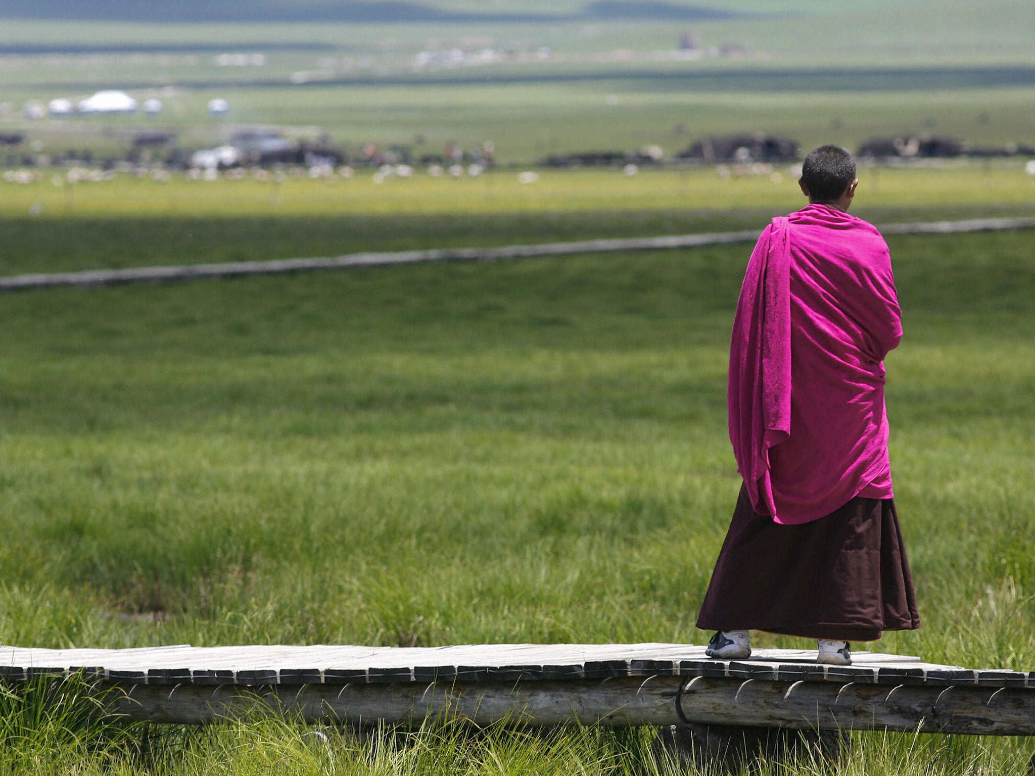 A Tibetan monk surveys the wet Re’er grassland at Meiduo Lake, China. Grassland such as this is helping to balance out the demise of the rainforests