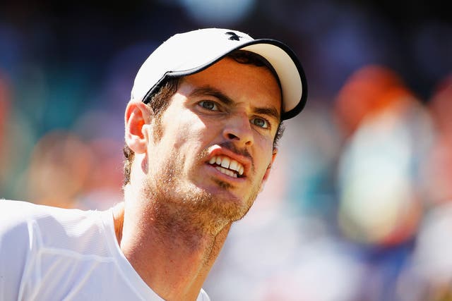 Andy Murray in the Miami Open final