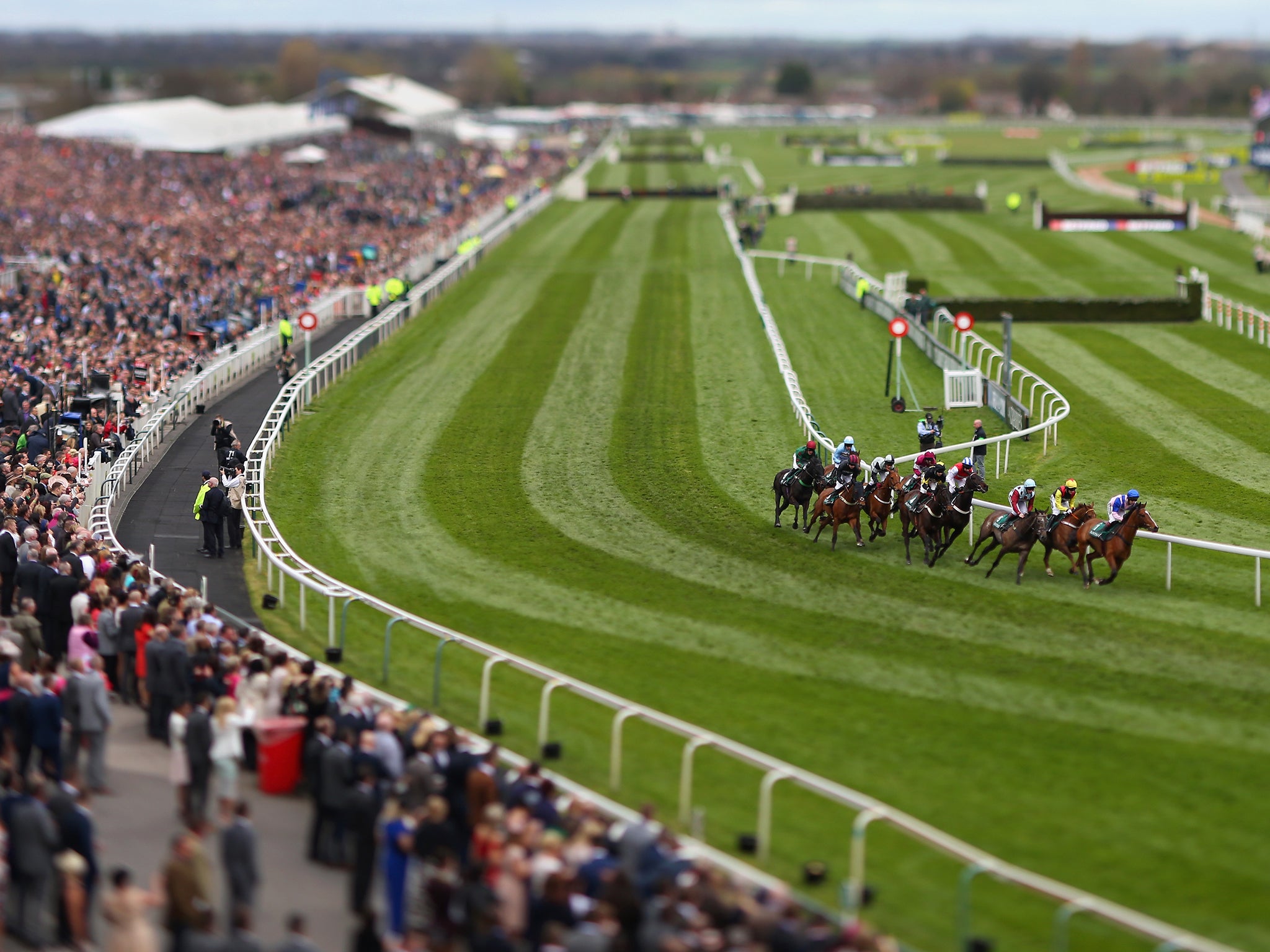 A view of the Grand National