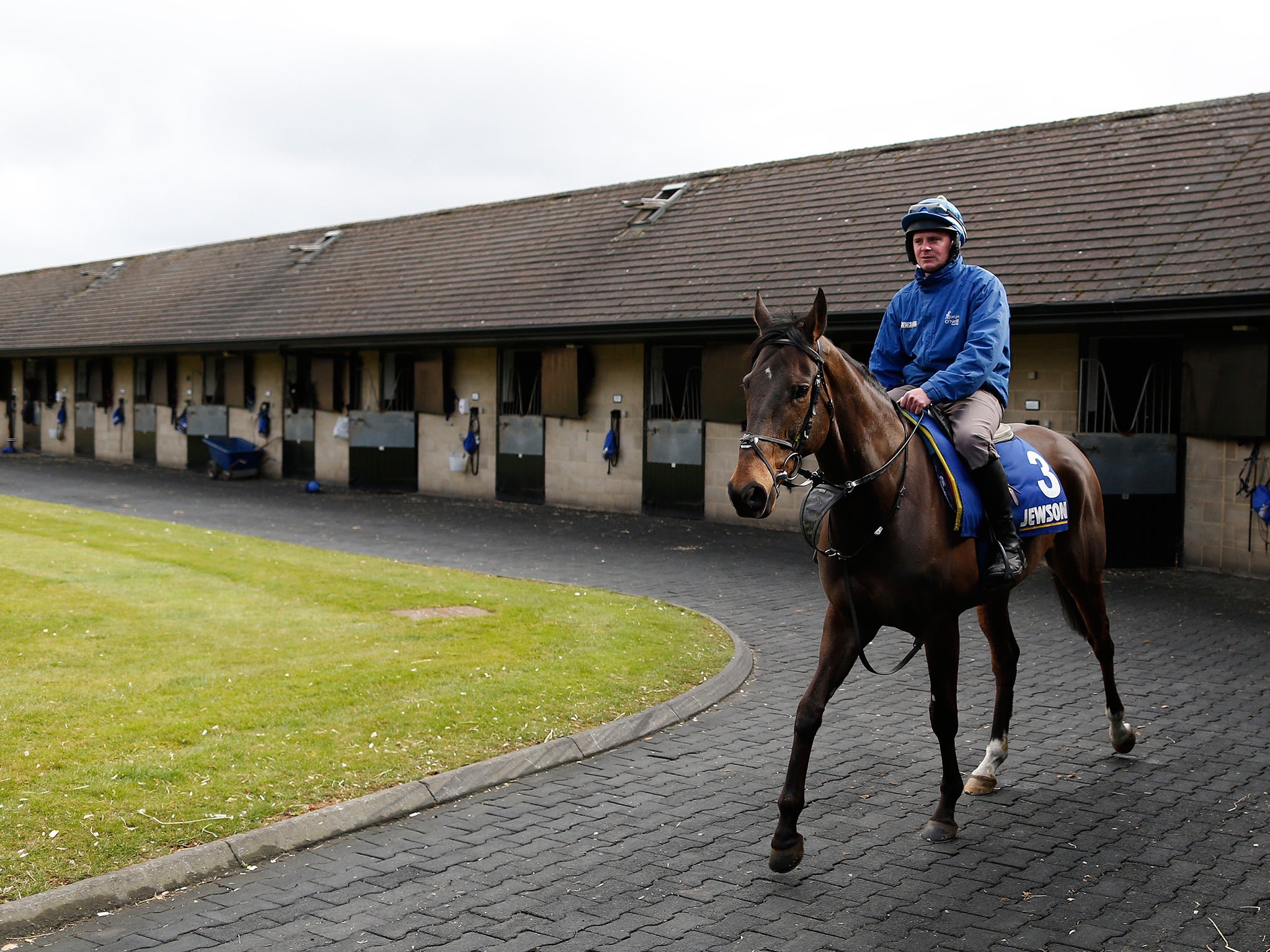 Shutthefrontdoor pictured ahead of the 2015 Grand National