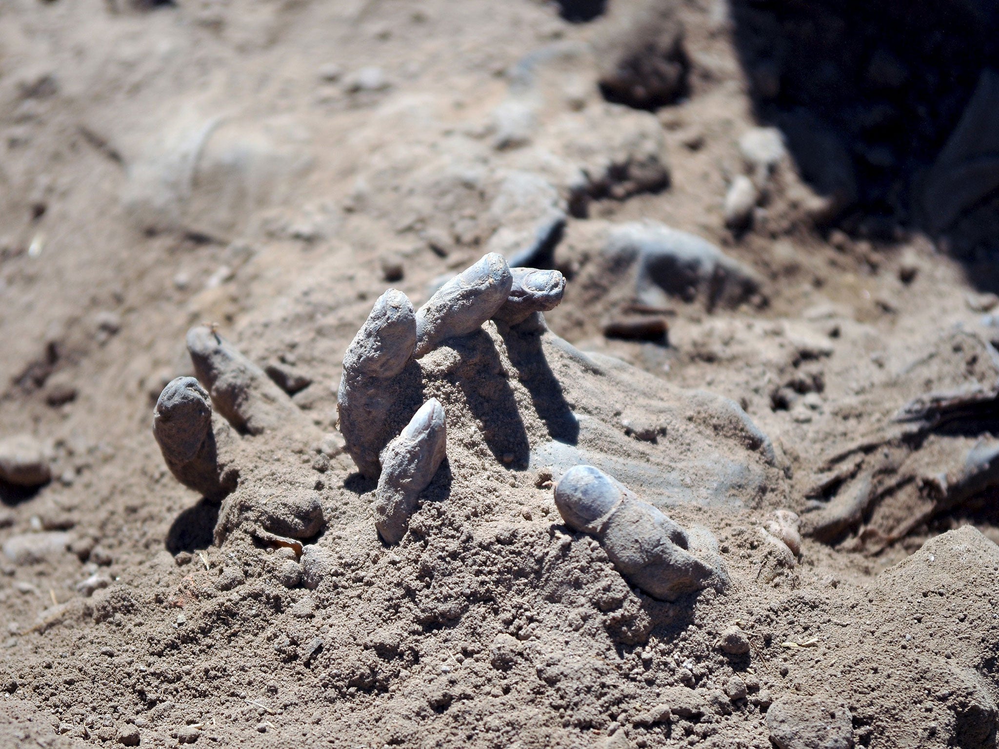A hand is seen as Iraqi forensic teams recovered dead bodies from a mass grave